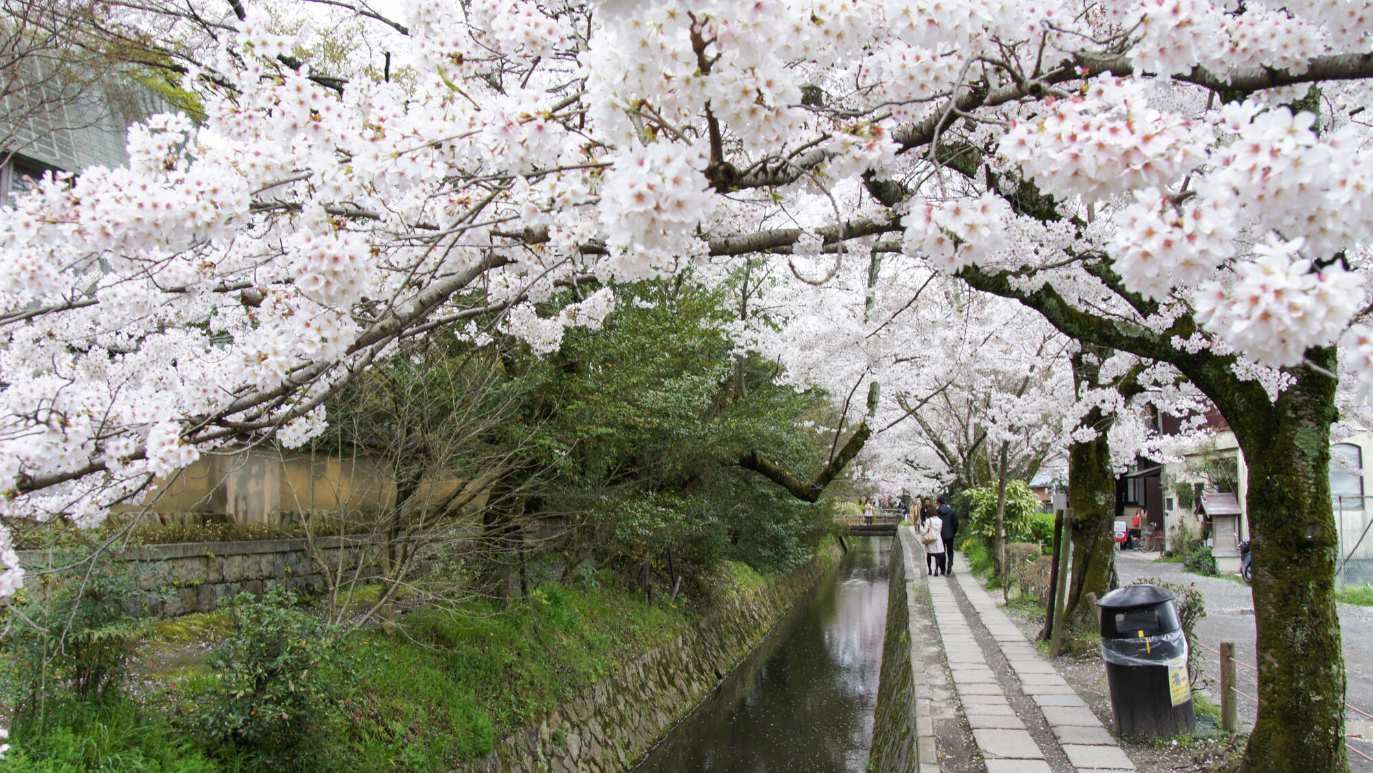 Chemin de la philosophie Kyoto Retraite nature Kyoto 