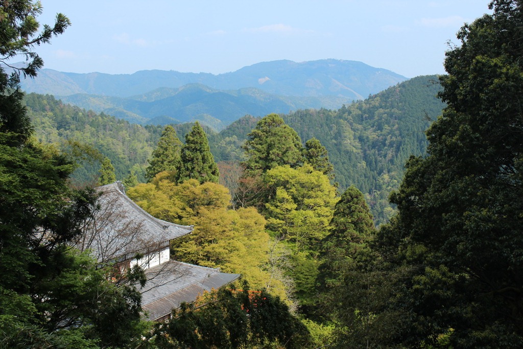 Retraite nature Kyoto 